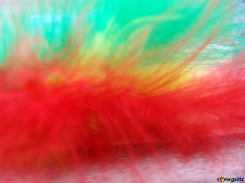 Color  feather.  Background. №9764