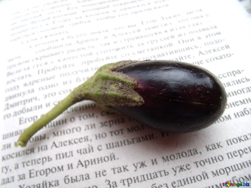 Miniature  eggplant №9220