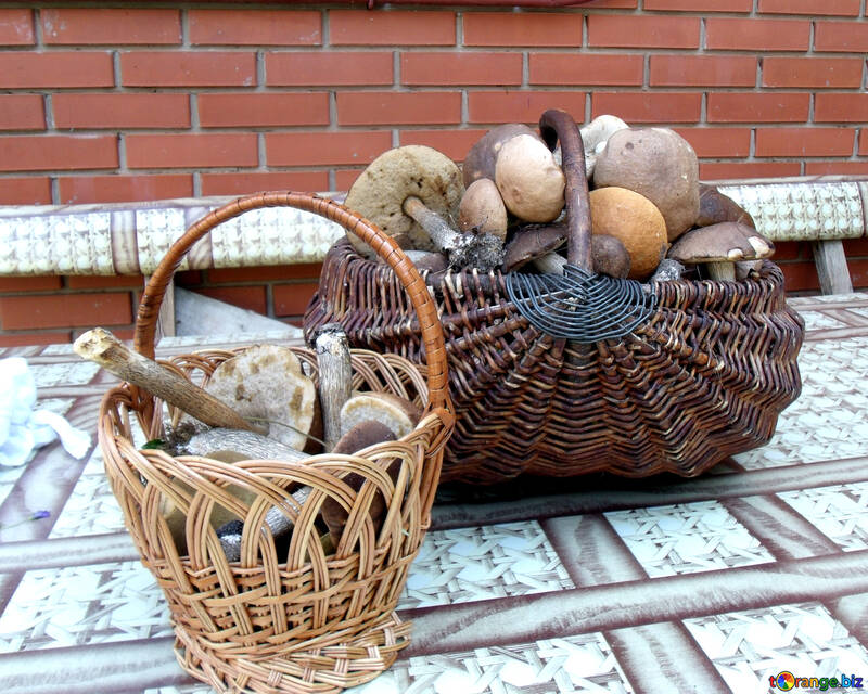 Baskets    mushrooms №9432