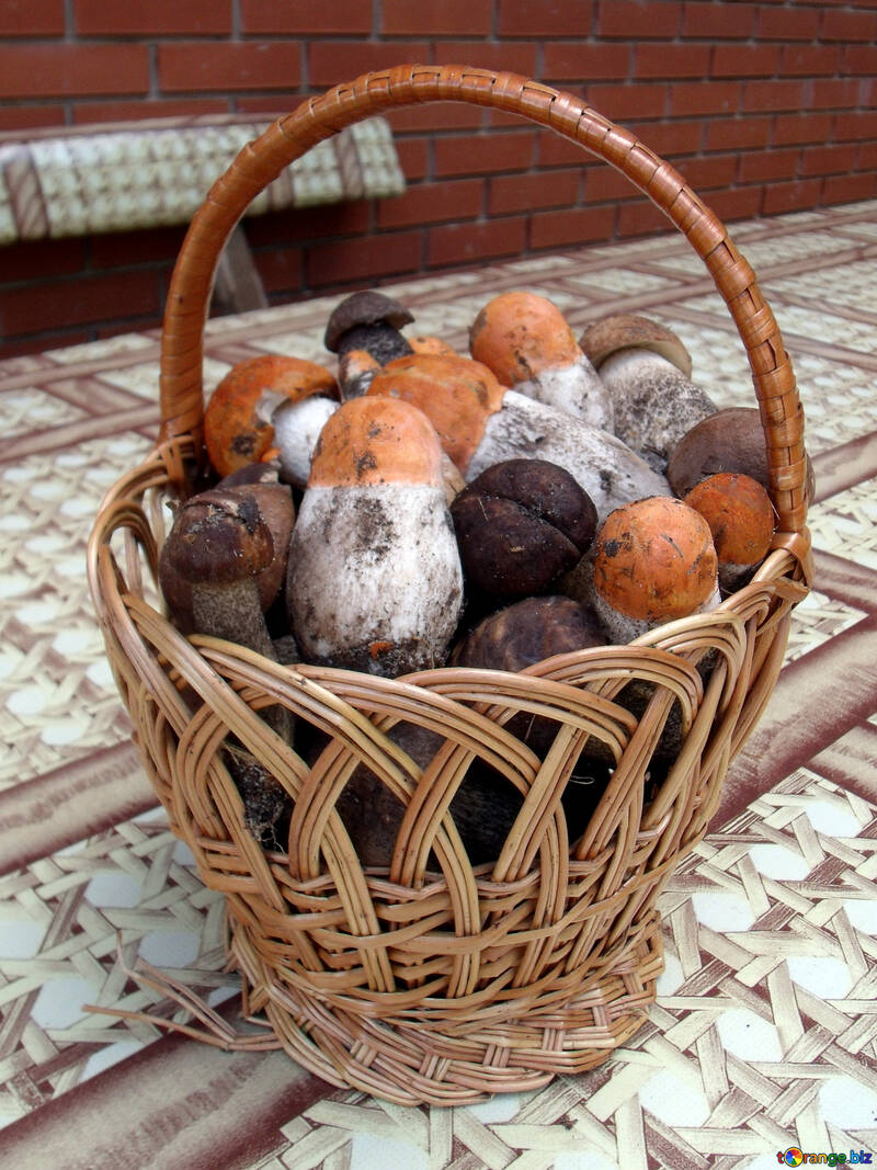 Cart  mushrooms №9444