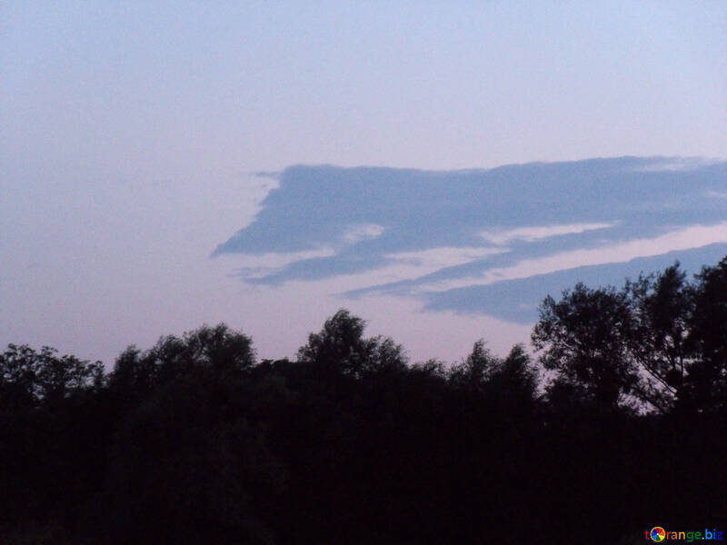 Cloud  -  crocodile №9631