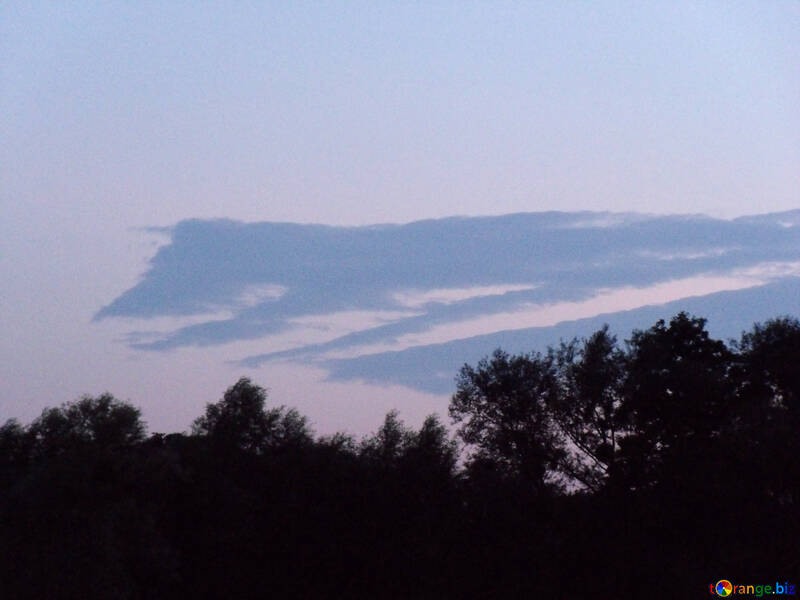 Figure  of the  cloud №9628