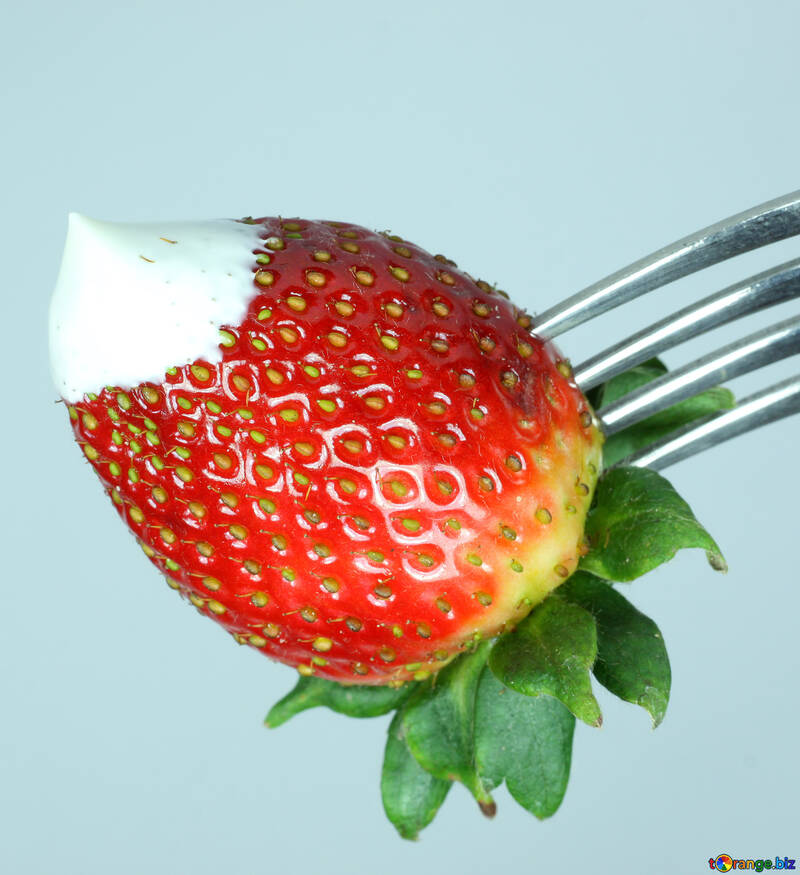 Erdbeeren  an  Gabel №9091