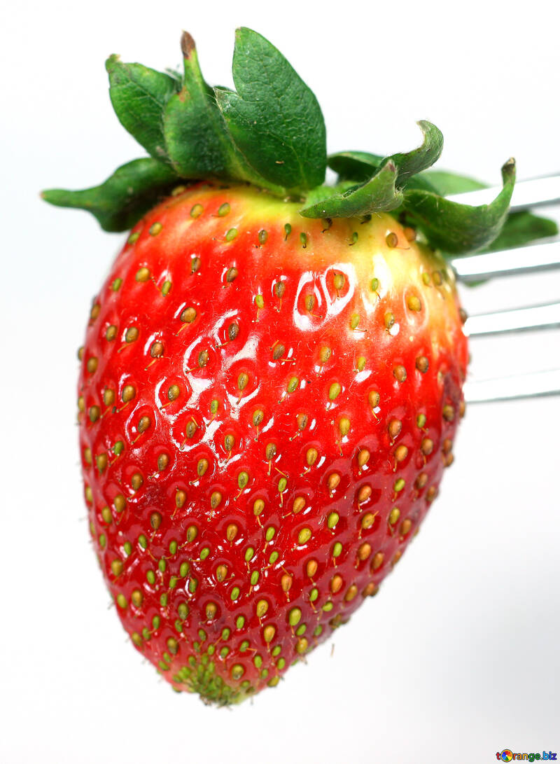 Erdbeeren  auf  Gabel №9140