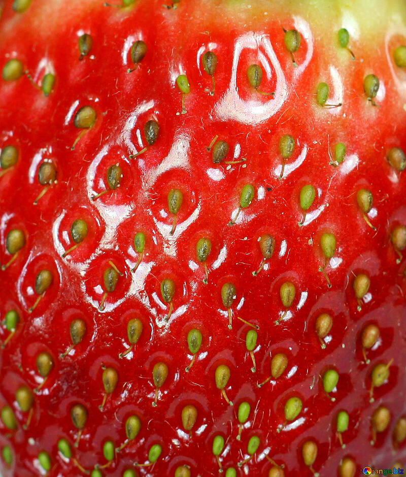 Texture  strawberries №9144