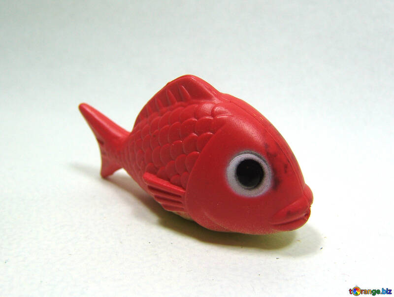 Vermelho  peixes №9235