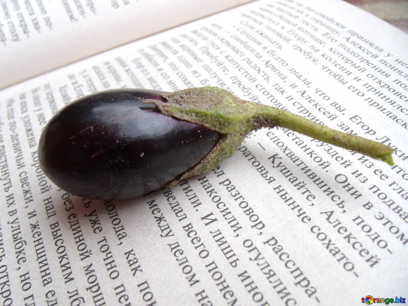 Eggplant №9218
