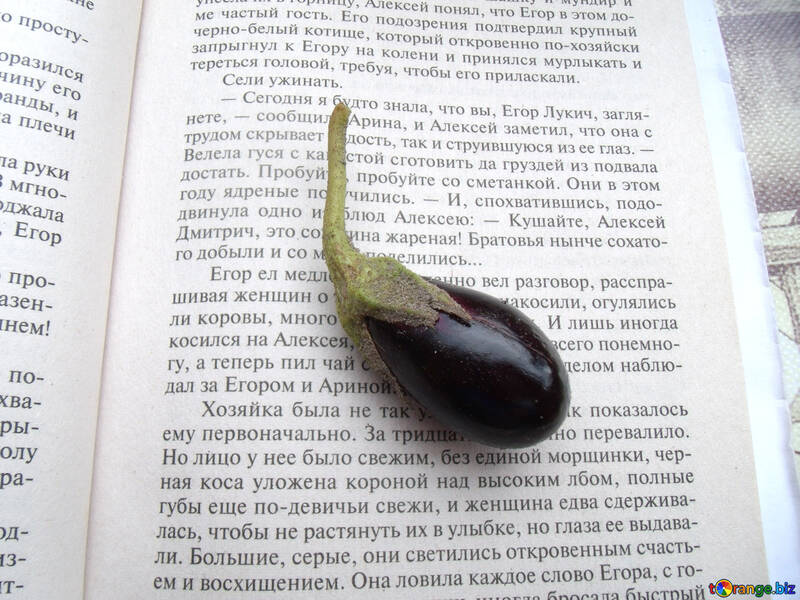 Eggplant  decorative №9217