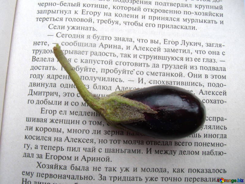 Petit  aubergine №9219