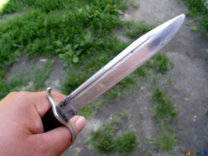 Military  knife №9531