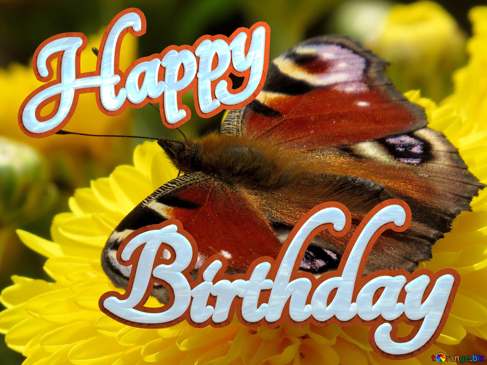 Birthday Happy Butterfly wallpaper for desktop №35840