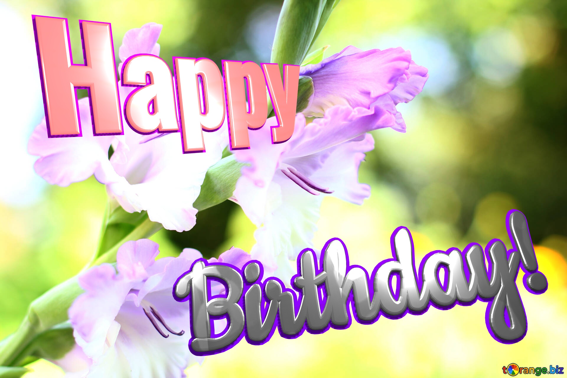 Happy Birthday! Wallpaper desktop flower of gladiolus №33788