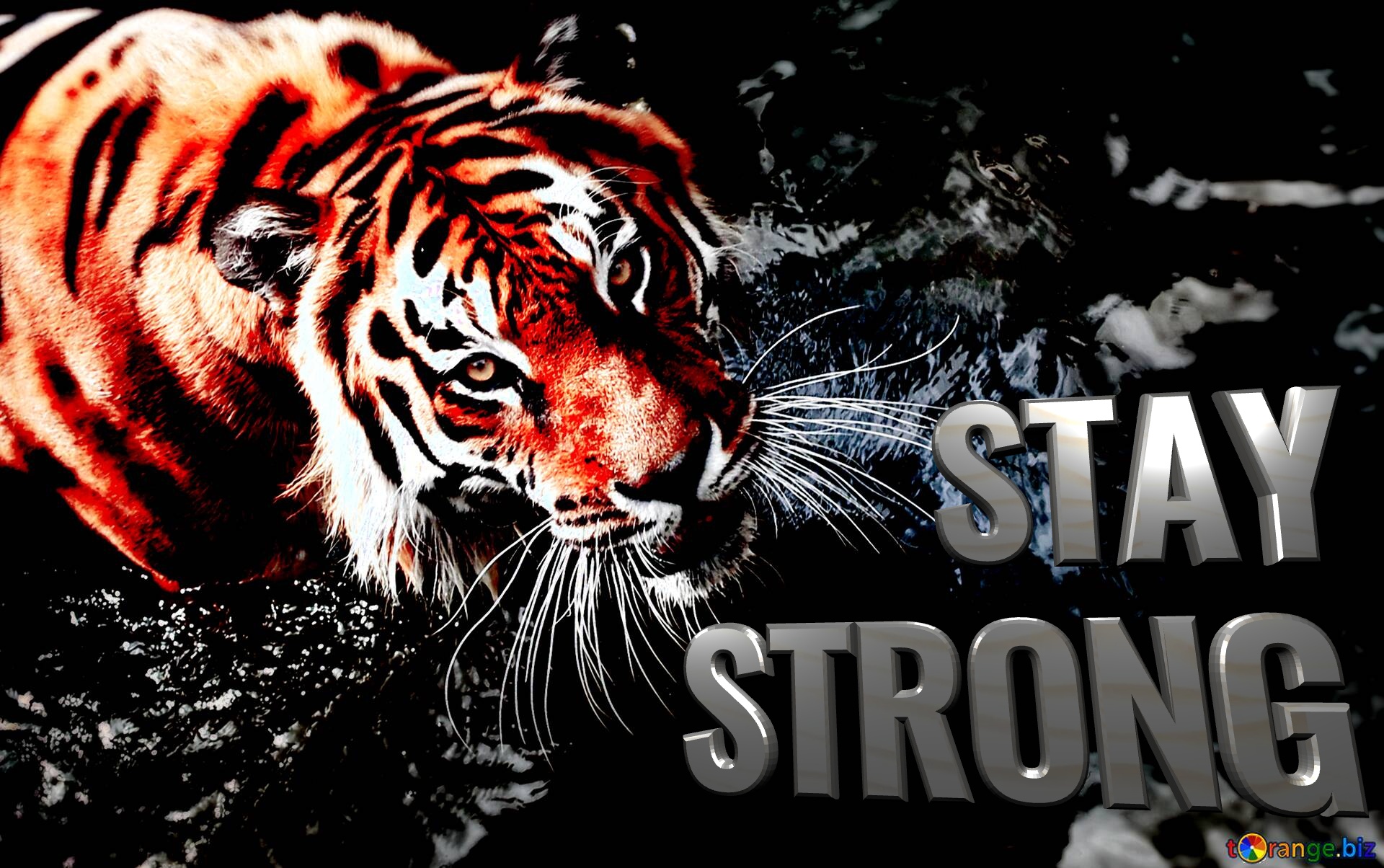 stay strong wallpaper