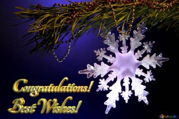 Congratulations! Best Wishes! New Year