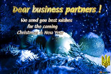 Dear business partners ! We send you best wishes for the coming Christmas & New Year