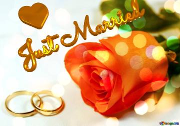 Just Married Wedding  Card With Blurred Lights Background