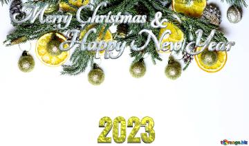 Merry Christmas 2023 Happy New Year & Christmas wreath with Mandarin