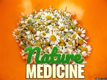 Nature Medicine Camomile
