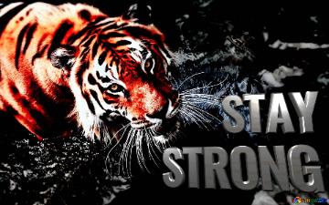 STAY STRONG Tiger wallpaper