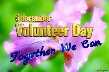 Volunteer Day 5 December Together We Can Iris Wallpaper