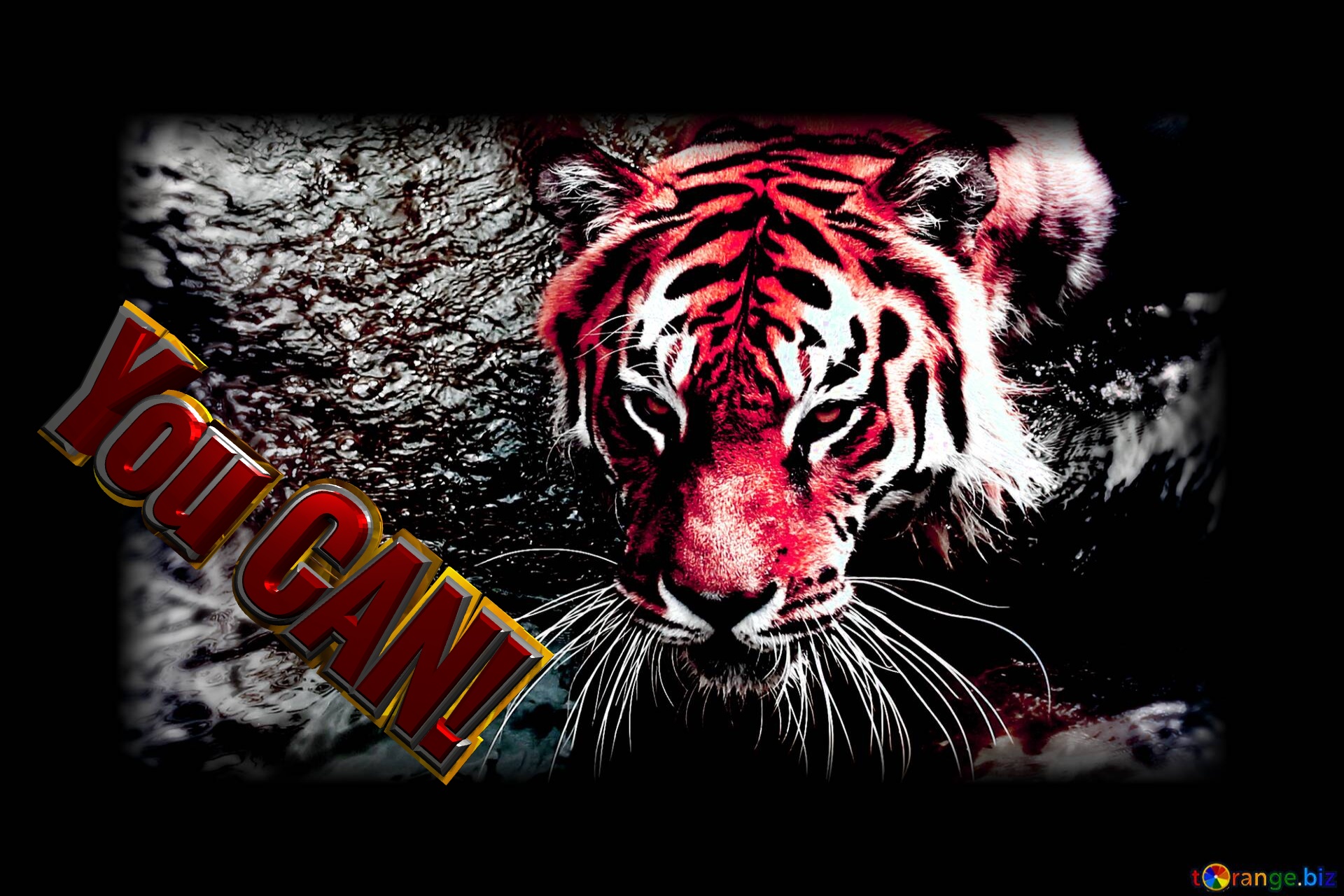 You CAN! You CAN!  red tiger №0