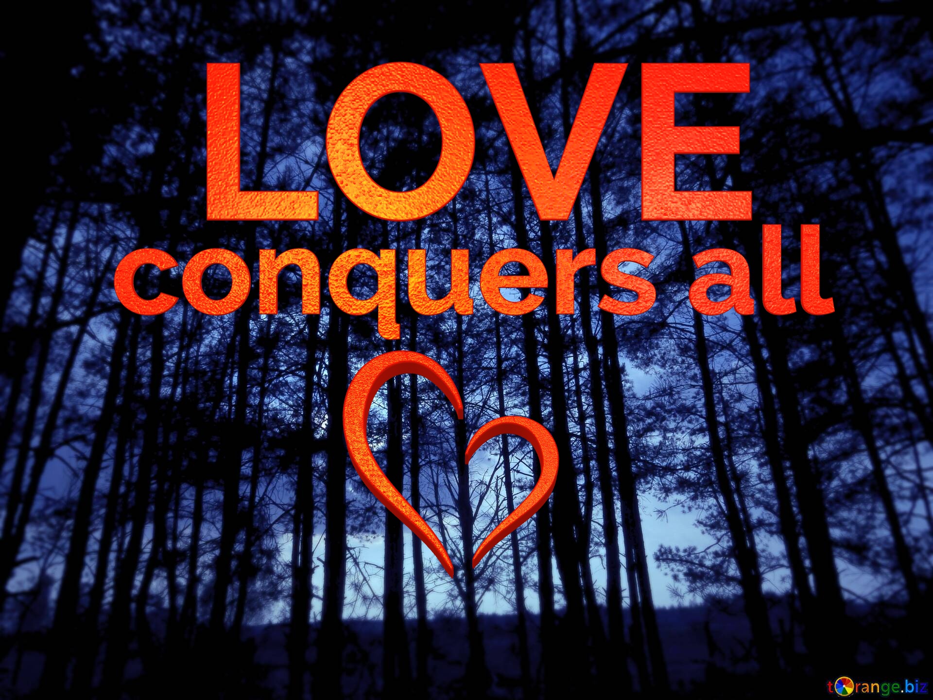 LOVE conquers all Dark forest fog night №0