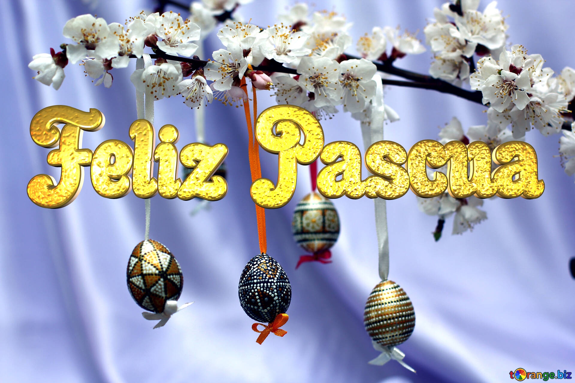 Feliz Pascua  Easter flowers №29831