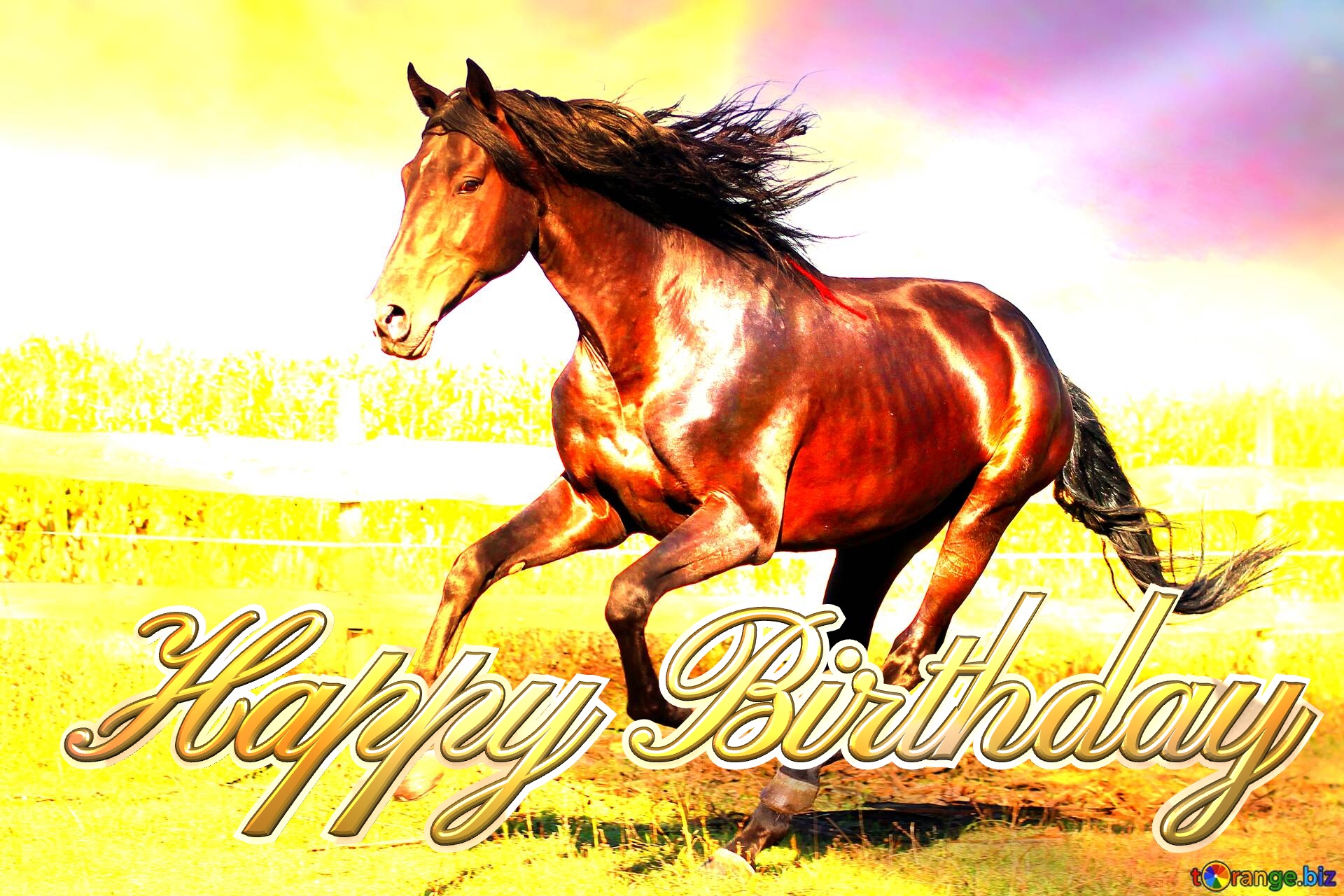 Horse Happy Birthday Horse art background №0