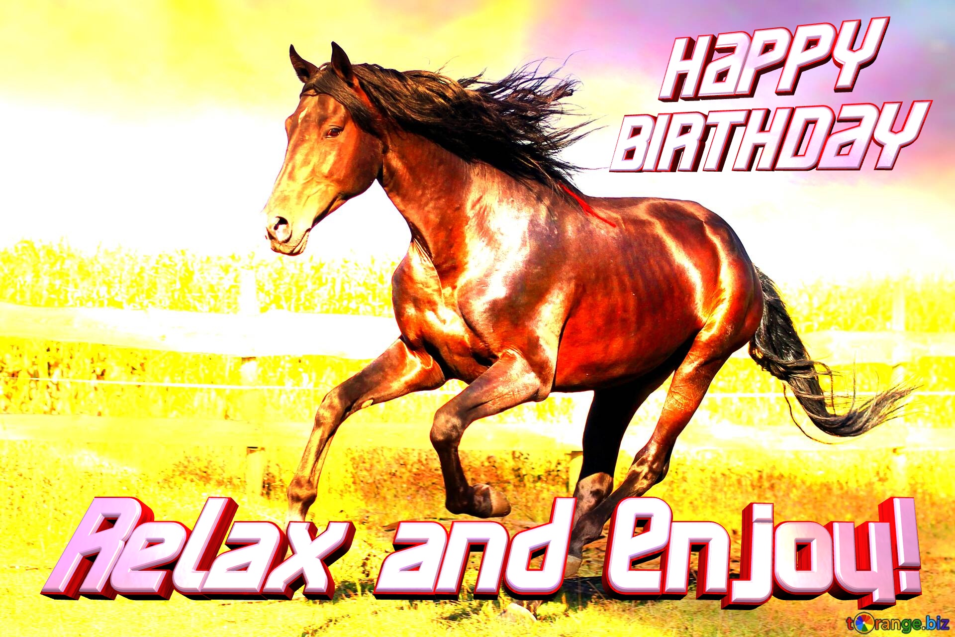 HAPPY BIRTHDAY card with HORSE Relax and Enjoy! Horse run №0