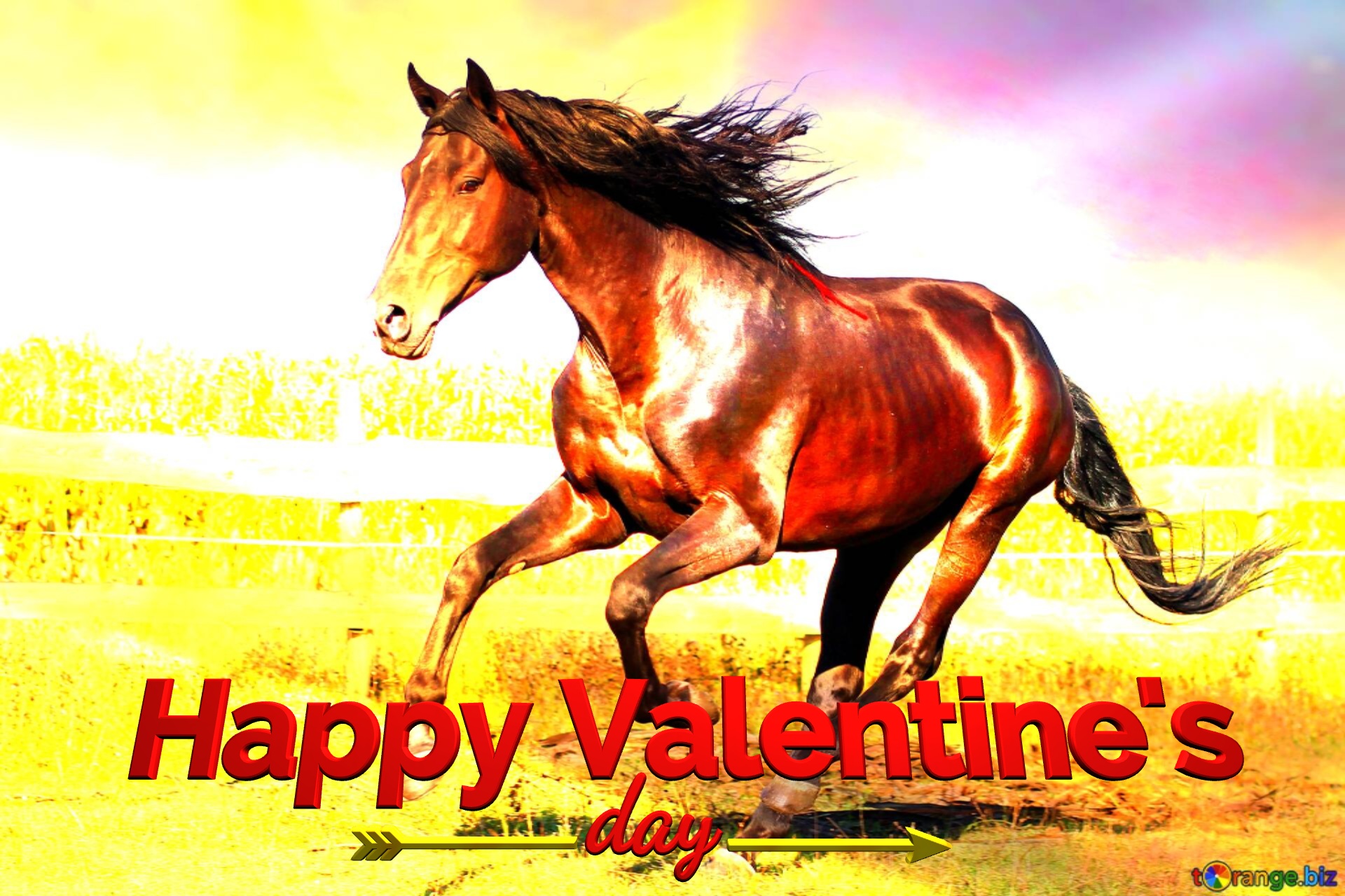 Horse Happy valentines day Horse art background №0