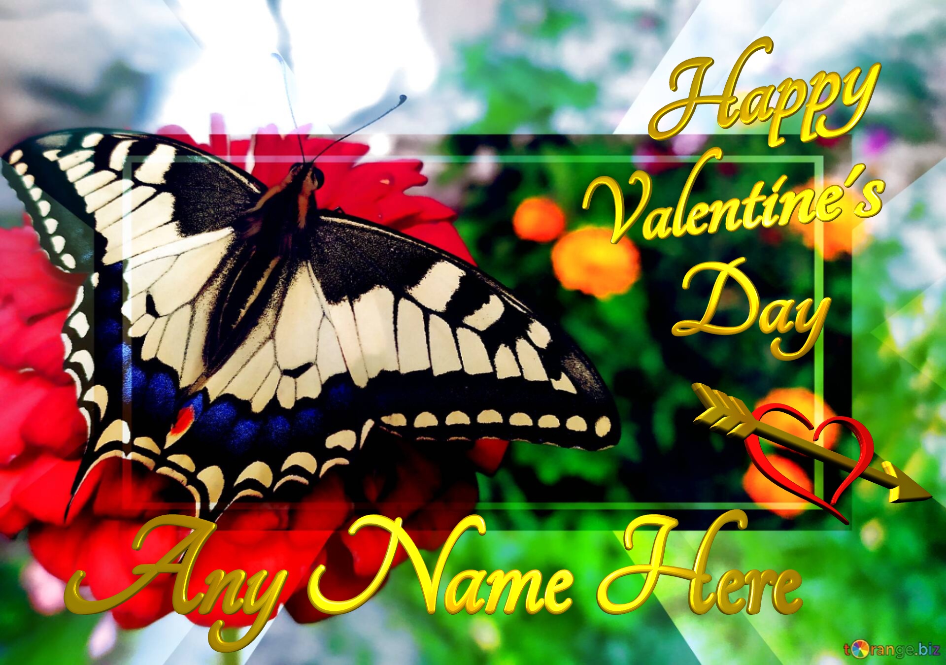 Butterfly Happy Valentine`s   Day editable Butterfly template №0