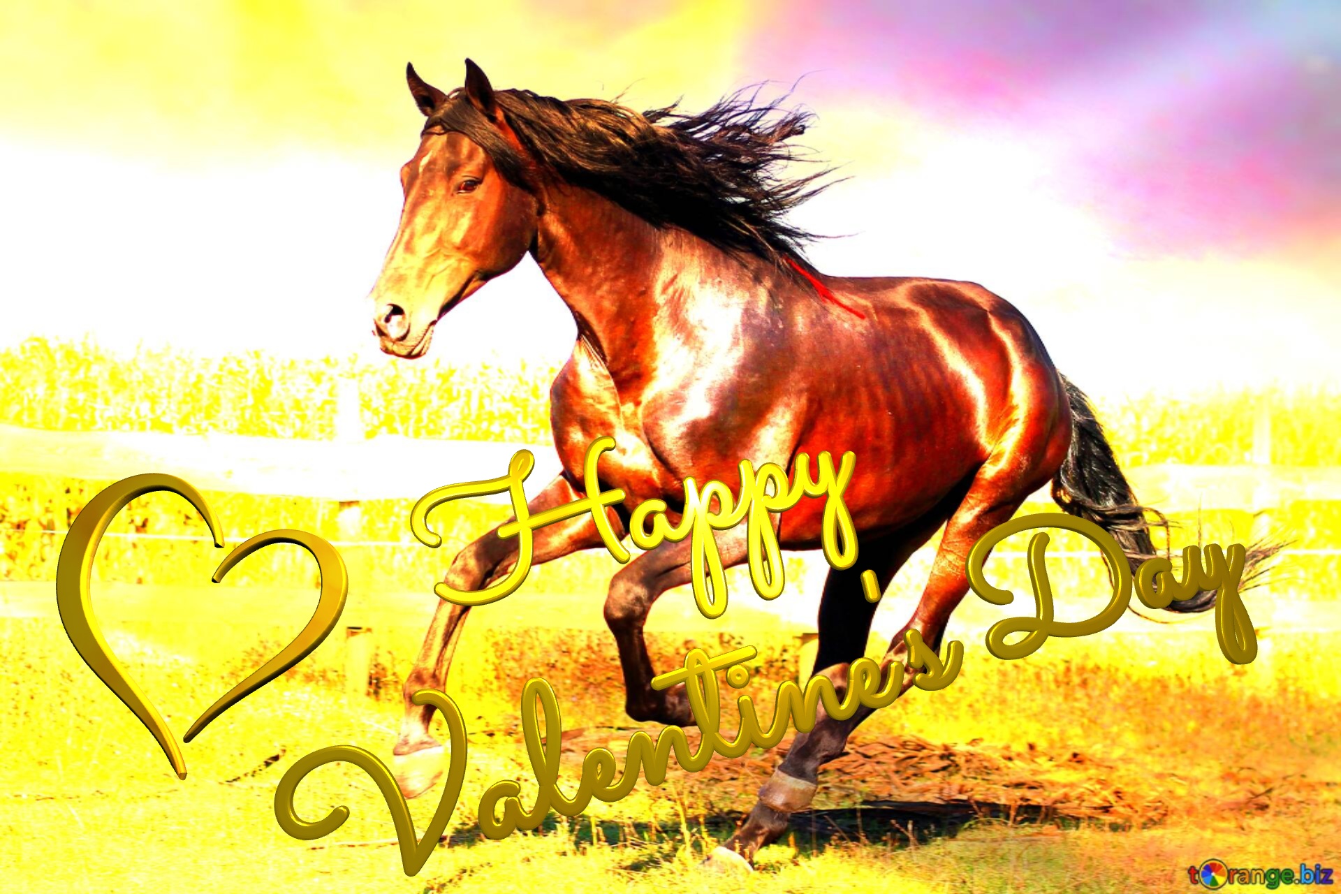 Happy valentine`s day horse Horse art background №0