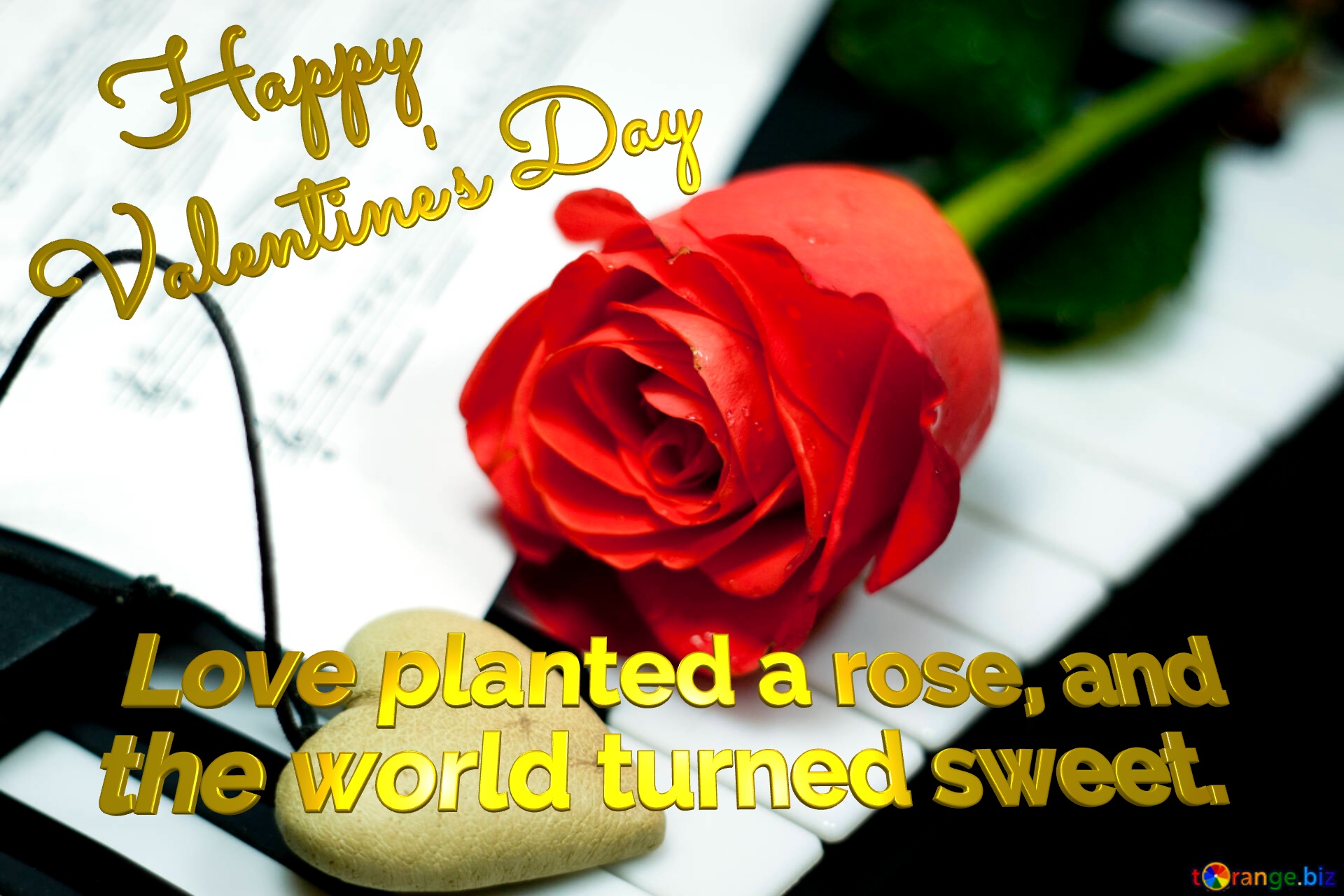 Happy Valentine`s Day Love planted a rose, and  the world turned sweet. Eternal  love. №7200