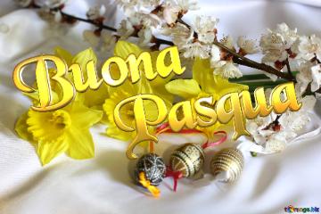 Buona Pasqua Easter Background With Flowers