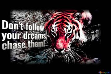 Don`t follow  your dreams,  chase them! red tiger