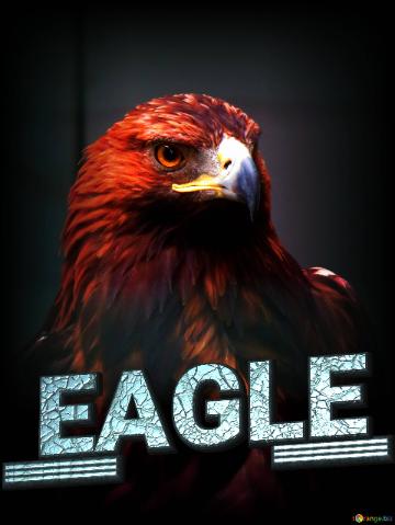 Eagle lettering