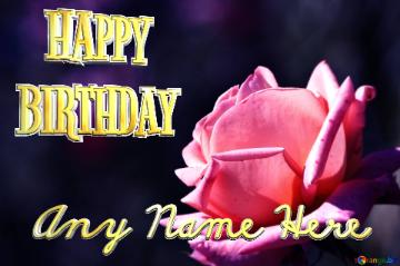   Happy Birthday Any Name Here  Pink Rose Blue Blur Frame