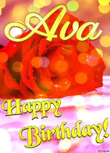 Happy   Birthday! Ava Flower Rose Image. Beautiful Rose Bokeh  Background