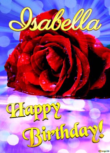 Happy   Birthday! Isabella Flower Rose Image. Beautiful Rose Bokeh Blue Background