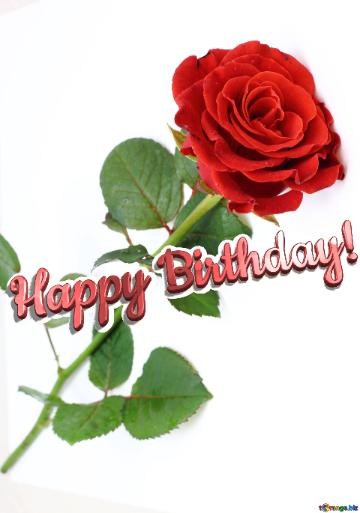 Happy Birthday! Red Beautiful Rose