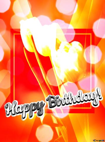 Happy Birthday! My Love!  Tulips bouquet on a black background powerpoint website infographic template banner layout design responsive brochure business