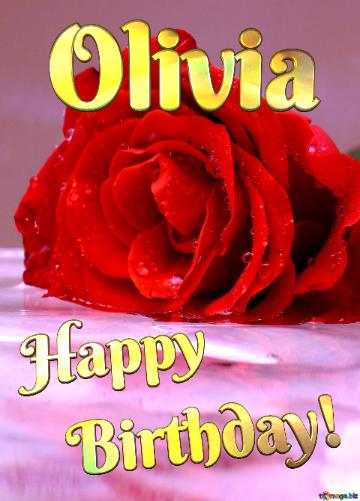 Rose Happy Birthday! Olivia