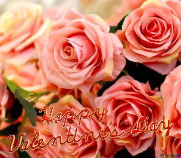 Flowers Happy Valentine`s Day