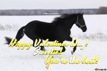 Happy Valentines Day!             Sweetie!                  You`re The Best!   Horse In The Snow