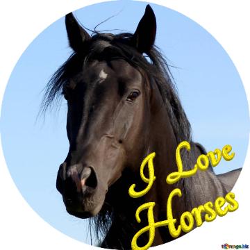   I Love  Horses  