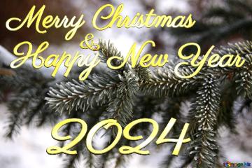 2024 Merry Christmas and Happy New Year snowy branches Rime of spruce branches