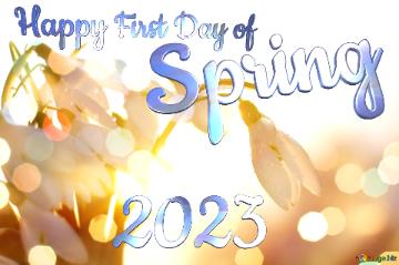 Happy First Day Of Spring 2023 Spring Background