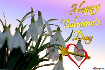 Happy Valentine`s Day Lettering For The Desktop Background Wallpaper Spring Snowdrop