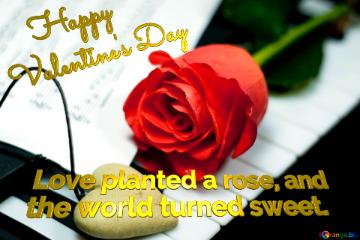 Happy Valentine`s Day Love Planted A Rose, And  The World Turned Sweet. Eternal  Love.