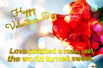 Romantics Happy Valentine`s Day Love planted a rose, and  the world turned sweet.